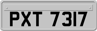 PXT7317