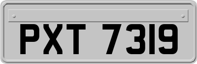 PXT7319