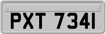 PXT7341