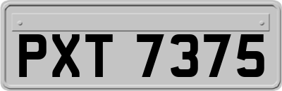 PXT7375