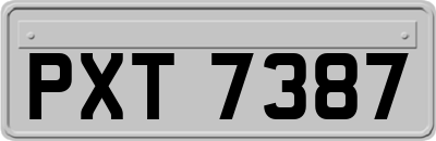 PXT7387