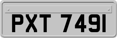 PXT7491