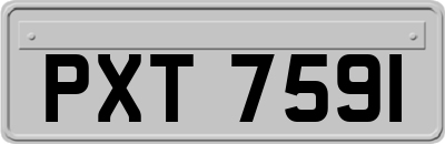 PXT7591