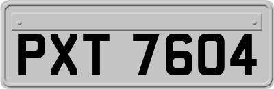 PXT7604