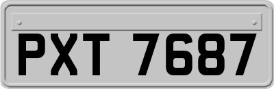 PXT7687