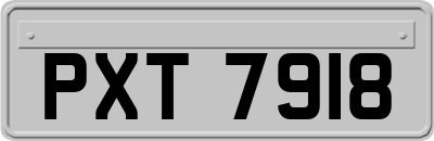 PXT7918