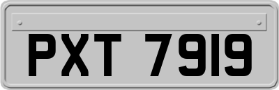 PXT7919