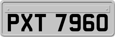 PXT7960