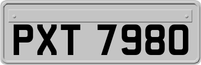 PXT7980