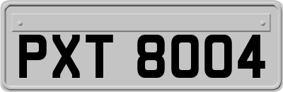 PXT8004