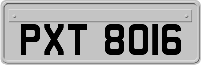 PXT8016