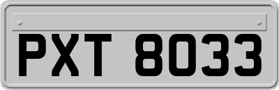 PXT8033