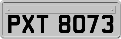 PXT8073