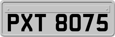 PXT8075