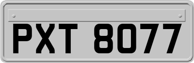 PXT8077