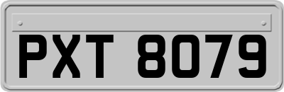 PXT8079