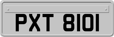 PXT8101