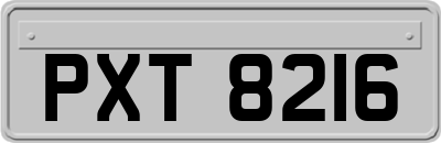 PXT8216