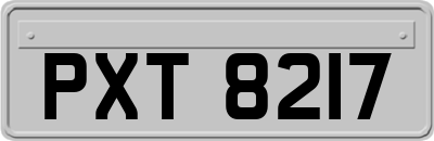 PXT8217