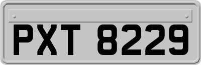 PXT8229