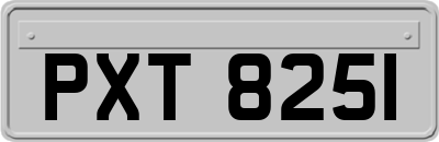 PXT8251