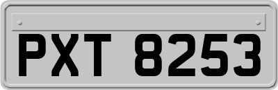 PXT8253