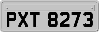 PXT8273