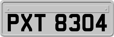 PXT8304