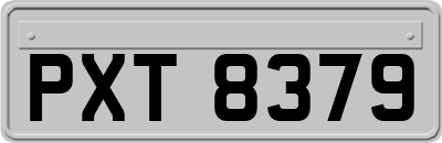 PXT8379