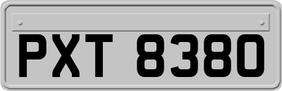 PXT8380