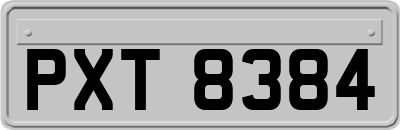 PXT8384