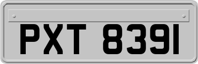 PXT8391