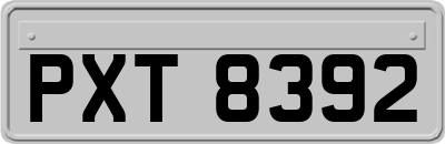 PXT8392