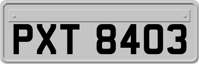 PXT8403