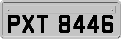 PXT8446