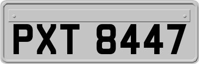 PXT8447