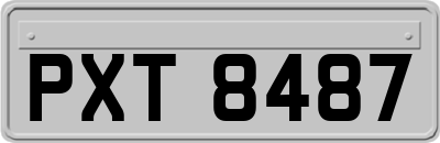 PXT8487