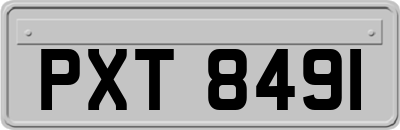 PXT8491