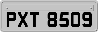 PXT8509