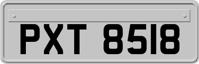 PXT8518