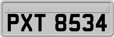 PXT8534