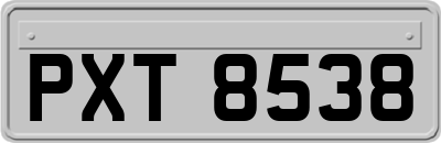 PXT8538