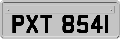 PXT8541