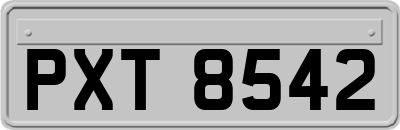 PXT8542