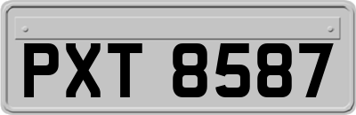 PXT8587