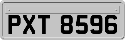 PXT8596