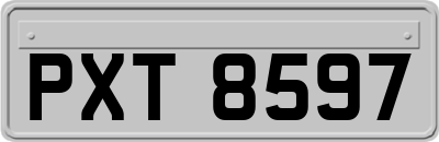 PXT8597