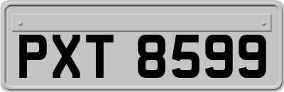 PXT8599