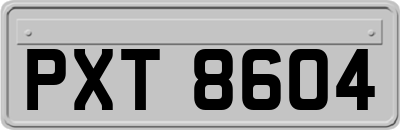 PXT8604