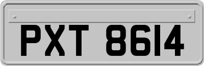 PXT8614